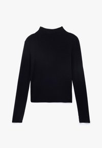 Zwarte coltrui met lange mouwen, gemaakt van een gladde stof, heeft een getailleerde silhouette met een hoge hals en geen zichtbare versieringen.