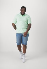 Tommy Hilfiger 1985 REGULAR - Pólóing - mint gel