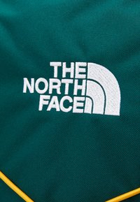 The North Face JESTER - Ryggsekk - hunter green/eagle blue