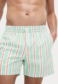 Marks & Spencer QUICK DRY  STRIPED - Badeshorts - pale jade