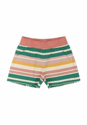 Shorts - multi striped