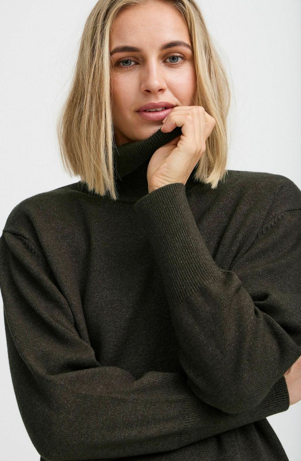 PZSTEFFI Roll Neck - Jumper - espresso melange2