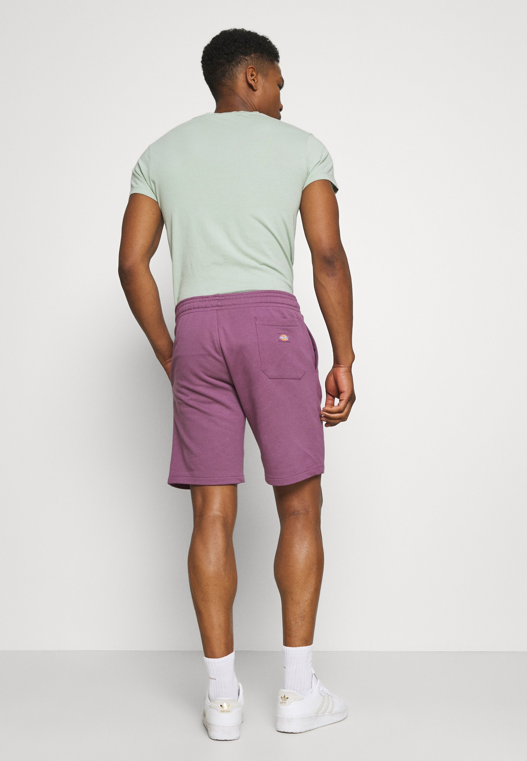 Dickies CHAMPLIN - Shorts - purple 