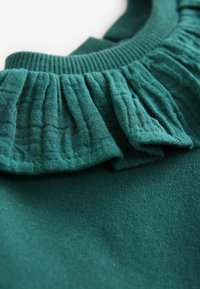 Next COLLAR  - Sweatshirt - green