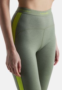 Groene leggings met een gladde textuur, voorzien van een brede tailleband en een contrasterend gele zijpaneel. De merknaam "icebreaker" is zichtbaar op de tailleband.