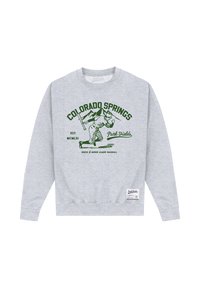 Grå sweatshirt med lange ærmer, rund hals og grafisk print med "Colorado Springs" i grøn samt en illustration af en baseballspiller.