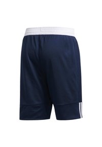 Marineblaue Sportshorts mit einem weißen elastischen Bund, ausgestattet mit einer glatten Textur und drei weißen Streifen an den Seiten.