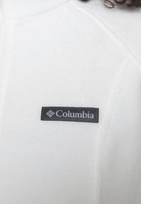 Columbia BENTON SPRINGS™ FULL ZIP - Veste polaire - sea salt