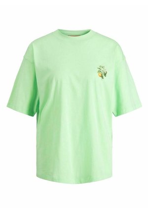 Hellgrünes kurzärmeliges T-Shirt mit kleinem Blumen- und Fruchtmotiv auf der linken Brustseite, mit rundem Halsausschnitt.