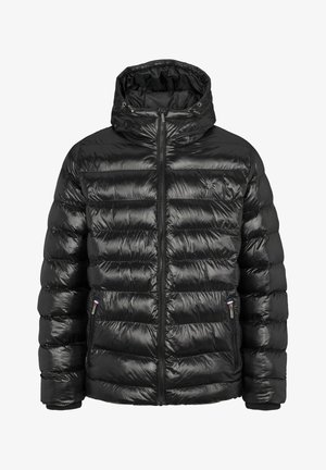 U.S. Polo Assn. Winterjas - tap shoe