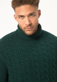 Grüner Strickpullover mit hohem Rippkragen, der ein texturiertes Kabelmuster und eine weiche, dicke Stoffoberfläche aufweist.