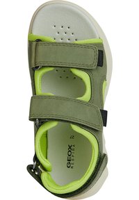 Zelené semišové sandály s nastavitelnými pásky na suchý zip, limetkovými akcenty, perforovanou stélkou a hladkou bílou podrážkou. Obsahují logo Geox.