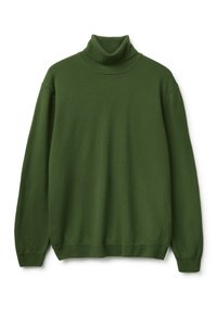 Grüner, gestrickter Rollkragenpullover, lange Ärmel, gerippter Kragen und Bündchen, weiche Textur, lockerer Schnitt, keine sichtbaren Muster oder Akzente.