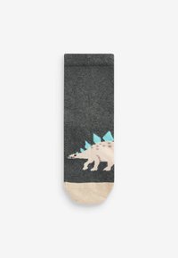 Next RICH 7 PACK - Sokken - grey