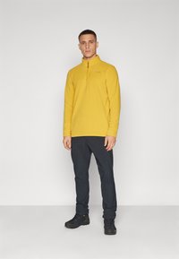 Jack Wolfskin TAUNUS - Fleecepullover - curry