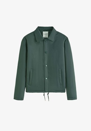 Veste verte rembourrée avec un col, fermeture à boutons à l'avant, deux poches latérales et un ourlet ajustable avec cordon. Texture de tissu lisse.