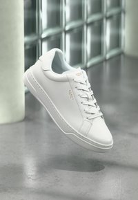 No seleccionado, optic white