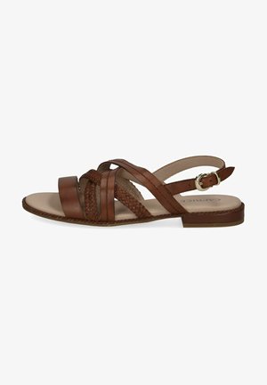 Brown leather sandal with braided straps, flat soles, and a buckle closure on the ankle. Smooth interior lining, simple design.