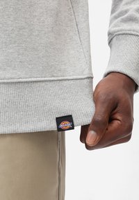 Felpa grigia con orlo e polsini a coste, con un piccolo tag del marchio "Dickies" nero e colorato sul lato inferiore.