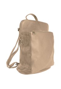 Rugzak in metallic beige leer, met een hoofdvak met rits en een ritsvak aan de voorkant. Zachte textuur met verstelbare banden.