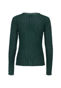 Pull en maille vert à manches longues avec un design texturé et imprimé, col rond. L'ourlet est légèrement court et ajusté.