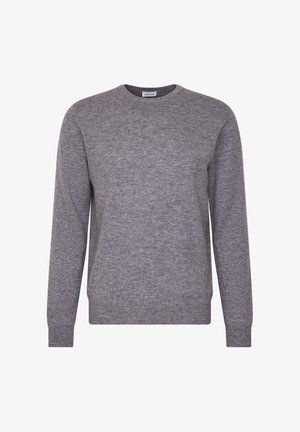 Maglione grigio con maniche lunghe, scollo rotondo, realizzato in morbido tessuto a maglia, con una texture liscia e polsini e orlo a costine.