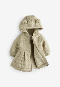 Next REGULAR FIT - Talvemantel - sage green flower