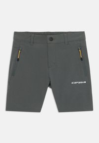Pantalones cortos grises con una cinturilla elástica, bolsillos frontales con cremallera y un logo en la pierna. Fabricados en un tejido ligero y duradero.