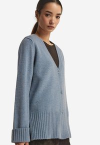 Jasnoniebieski kardigan z miękkiego dzianiny, z dekoltem w serek, prążkowanymi mankietami i dołem. Posiada trzy guziki na przodzie do zapinania.