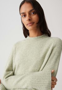 Young woman with long dark hair wearing a light green fuzzy sweater with ribbed cuffs and a crew neckline, posing against a plain background.