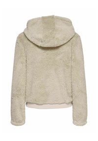 Light green fuzzy hoodie with a large, rounded hood, ribbed hem, and cuffed sleeves. Soft texture and cozy design without any visible fasteners.