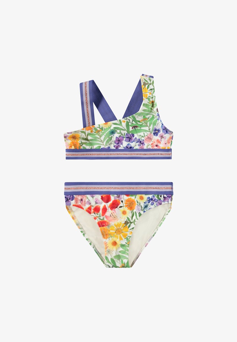 Divdaļīgs ziedu peldkostīms ar daudzkrāsainu rakstu, kas attēlo dažādus ziedus. Augšdaļai ir pārskrējoša dizaina, zilas siksnas un dekoratīvi akcenti.