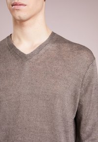 Homme portant un pull en maille brun à col en V, visible du cou jusqu'au milieu du torse, sur un fond clair uni.