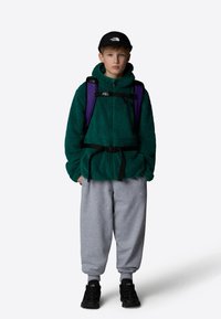 The North Face CAMPSHIRE - Forro polar - evergreen