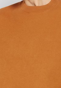 Long-sleeve, crew-neck sweatshirt in a warm orange color. Smooth texture with ribbed neck, featuring a minimalist design and no visible logos.