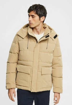 PES LL PKTPUFFR - Winter jacket - khaki beige
