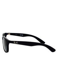 Ray-Ban Occhiali da sole - black