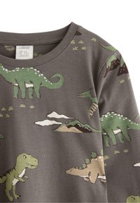 Grå bomullströja med färgglada dinosaurietryck i grönt och beige, tillsammans med illustrationer av berg och moln.