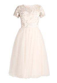 Light pink dress featuring a sheer, embroidered bodice and short sleeves, with a full tulle skirt and a fitted waist.