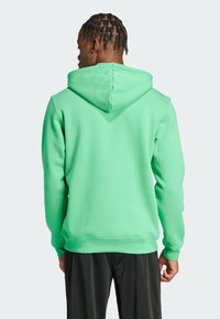 Groene hoodie met een capuchon, gemaakt van zacht materiaal, met een losse pasvorm en geribbelde manchetten. De achterkant heeft een gladde textuur.