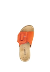 Sandalo slide in suede arancione con una grande fibbia rettangolare e una morbida soletta beige. Texture liscia, design open toe per il massimo comfort.