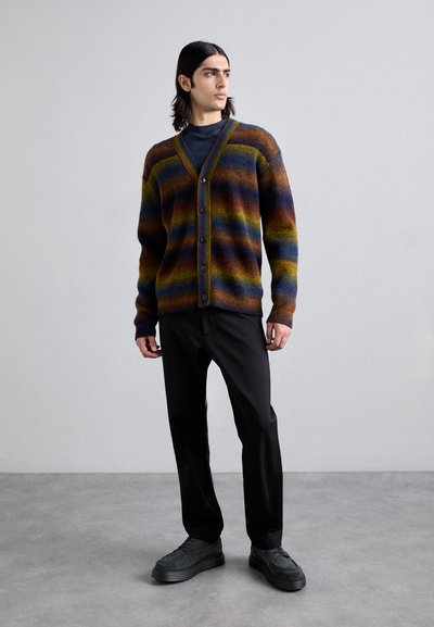 NN.07 VIGGO CARDIGAN - Chaqueta de punto - multi shades