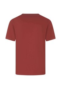 T-shirt rosso a maniche corte realizzato in cotone, caratterizzato da un classico scollo rotondo e una superficie liscia e uniforme. Solo vista posteriore.