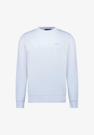Lichtblauwe sweatshirt gemaakt van een zachte katoenmix, met een ronde hals, lange mouwen en geribbelde boorden, voorzien van subtiele branding op de borst.