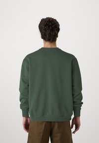 Sweatshirt vert à manches longues, avec des poignets et un col côtelés, fabriqué dans un tissu lisse. Couleur unie sans motifs ni matériel visible.