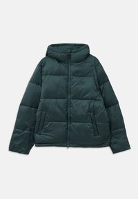 CLAUS PUFFER JACKET UNISEX - Giacca invernale - green gables