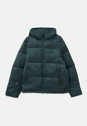 CLAUS PUFFER JACKET UNISEX - Zimná bunda - green gables