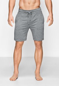 JBS OF DENMARK Shorts - lightgrey