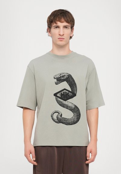 Short-sleeved, light gray t-shirt featuring a black graphic of a snake and an eye enclosed in a diamond shape. Soft cotton fabric.