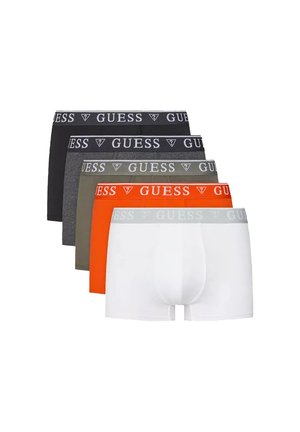 PACK5  - Onderbroeken - multi coloured